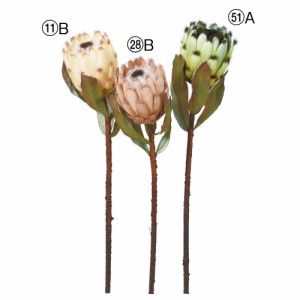asca プロテア 花材 造花 フラワー 資材 ディスプレイ アレンジメント 装飾