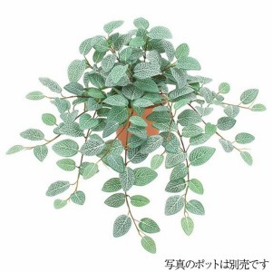 【フェイクグリーン】フィトニアハンギングブッシュ フィットニア 55cm 【観葉植物 造花 人工観葉植物 光触媒 CT触媒 インテリア】[G-L]