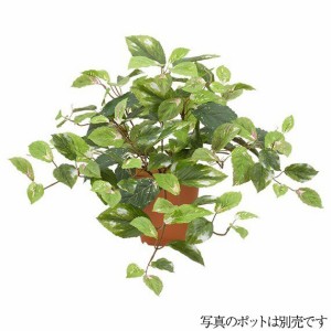 【人工観葉植物】コレウスハンギングブッシュ グリーンミックス 58cm 【観葉植物 造花 フェイクグリーン 光触媒 CT触媒 インテリア】[G-L