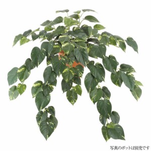 【フェイクグリーン】難燃ハンギングポトスブッシュ 80cm 【人工観葉植物 観葉植物 造花 光触媒 CT触媒 インテリア】[G-L]