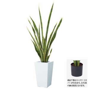 【フェイクグリーン】サンセベリア 105cm グリーン／ホワイト サンスベリア 【観葉植物 造花 大型 人工観葉植物 光触媒 CT触媒 インテリ