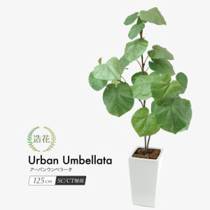 人工観葉植物 フェイクグリーン 観葉植物 造花 光触媒 アーバンウンベラータ 125cm 鉢植 インテリア フェイク グリーン CT触媒 お祝い