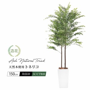 人工観葉植物 フェイクグリーン 観葉植物 造花 光触媒 大型 トネリコツリー 150cm 鉢植 ナチュラルトランク(天然木使用)  フェイク グリ