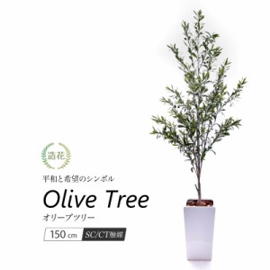 【限定特価】オリーブの木 白陶器鉢入り 鉢植 150cm 人工観葉植物 リアル フェイクグリーン 観葉植物 造花 光触媒 大型 インテリア おし