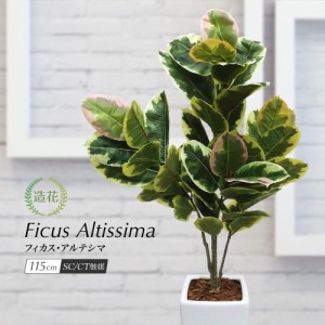 人工観葉植物 フェイクグリーン 観葉植物 造花 光触媒 フィカス アルテシマ 115cm 鉢植 インテリア フェイク グリーン CT触媒 お祝い