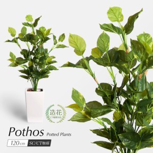 人工観葉植物 フェイクグリーン 観葉植物 造花 光触媒 大型 ポトス 120cm 鉢植 インテリア おしゃれ フェイク グリーン CT触媒 消臭 抗菌