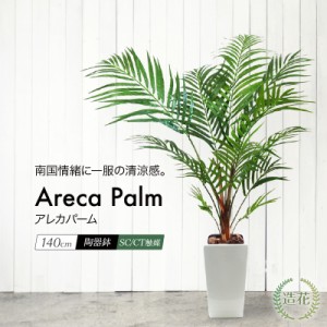 人工観葉植物 フェイクグリーン 観葉植物 造花 光触媒 大型 アレカパーム 140cm Ｍ陶器鉢付 アレカヤシ フェイク グリーン インテリア お