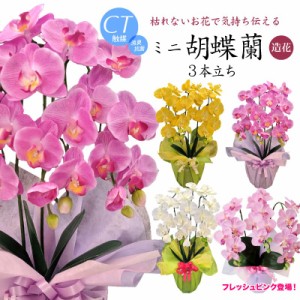 母の日 花 プレゼント ギフト 造花 ミニ胡蝶蘭 3本立 Mini CT触媒 光触媒【誕生日 開店 開院祝い お見舞い アートフラワー】[md][kd]