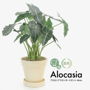 リアル フェイクグリーン 観葉植物 造花 アロカシア スタンダードポット 鉢植 陶器鉢 インテリア おしゃれ フェイク グリーン CT触媒 消