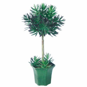 【観葉植物 造花】 エケベリアトピアリー 50cm 【人工観葉植物 フェイクグリーン 光触媒 CT触媒 インテリア】 鉢付