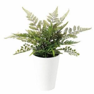 【フェイクグリーン】 ミックスファン 30cm 【人工観葉植物 観葉植物 造花 光触媒 CT触媒 インテリア】 鉢付