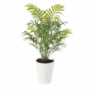 【観葉植物 造花】 テーブルヤシ PE (パーム) 55cm 【フェイクグリーン 人工観葉植物 光触媒 CT触媒 インテリア】 鉢付