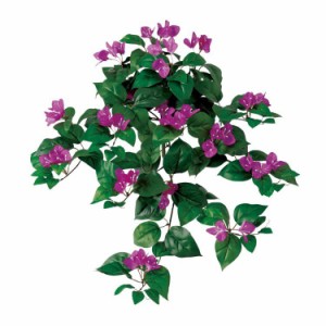 人工観葉植物 ブーゲンビレアハンギング ブーゲンビリア 70cm 観葉植物 造花 フェイクグリーン 光触媒 Ct触媒 インテリア の通販はau Pay マーケット 神戸花物語 商品ロットナンバー