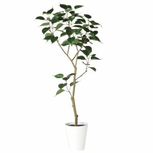 人工観葉植物 フェイクグリーン 観葉植物 造花 光触媒 大型 インドボダイジュ FST 150cm 鉢植 菩提樹 フィカス フェイク グリーン インテ