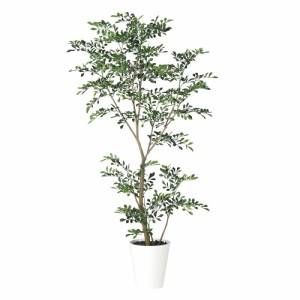 人工観葉植物 フェイクグリーン 観葉植物 造花 光触媒 大型 トネリコ FST 150cm 鉢植 フェイク グリーン インテリア おしゃれ CT触媒 お