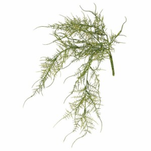 【観葉植物 造花】 アスパラガス 50cm 【フェイクグリーン 人工観葉植物 光触媒 CT触媒 インテリア】