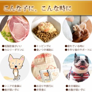 6月限定 愛犬の安心レトルトごはん 低カロリーおかゆ2つの味セット ササミと卵 馬肉とかぼちゃのミルクがゆ 100g各6袋 犬用 無添の通販はau Pay マーケット 帝塚山ハウンドカム 商品ロットナンバー