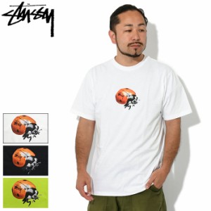 ステューシー STUSSY Tシャツ 半袖 メンズ Ladybug ( stussy tee ティーシャツ T-SHIRTS カットソー トップス メンズ・男性用 1904899 US