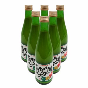 青切りシークワーサー300ml×6本　新栄商店　沖縄県産シークワーサー100％使用　全国送料無料