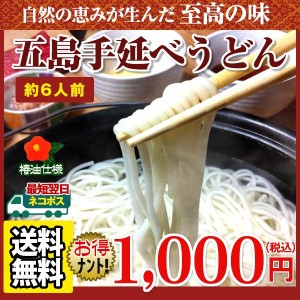 うどん ツルッとのどごし 長崎幻の五島うどん(手延べうどん)2袋約6人前 送料無料 食品 五島うどん 麺 うどん 1000円 セール