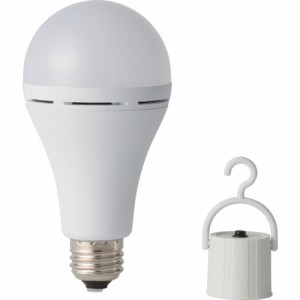 かりはな製作所 蓄電型LED電球 防災電球 昼白色 KS01-WH