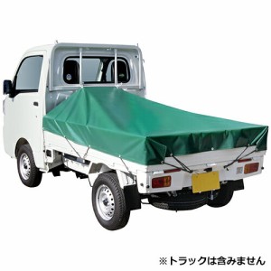 SK11(藤原産業) 軽トラックシートNeo 4977292281478