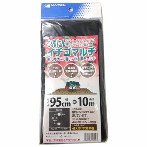 日本マタイ(日本マタイ株式会社) カンタンイチゴマルチ 95CMX10M 4989156104571