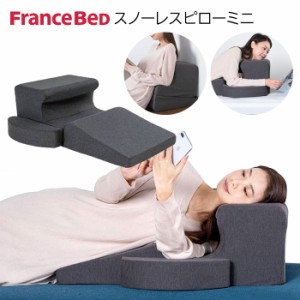 日本製 フランスベッド スノーレスピローミニ 横向き寝専用枕 枕 まくら ごろねクッション 16便 360264000