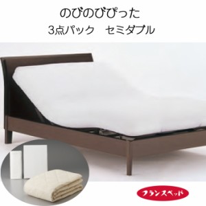 フランスベッド のびのびぴった 3点パック セミダブル ベットシーツ 枕カバー 敷きパッド リクライニングベッド 日本製 0357912