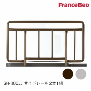 フランスベッド 正規品 共通サイドレール 手摺り てすり スチール製 SR-300JJ 2本1組 BR 036759260 GR 035460270