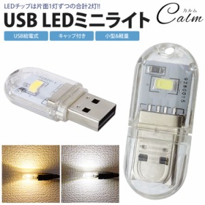 USB LEDライト ミニライト 両面発光 LED 2灯 小型 軽量 携帯 簡単点灯 キャップ付き コンパクト