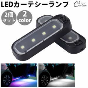 カーテシランプ 2個セット LED サイドドア ドアライト ウェルカムランプ カーテシライト カーテシーランプ 車用 自動点灯 警告灯 汎用 両