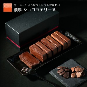 ショコラテリーヌ チョコケーキ 父の日 2024 プレゼント 生チョコ ガトーショコラ 時間差で味わいが変わる チョコレートケーキ 誕生日 ケ