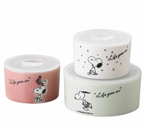 山加商店(Yamakasyoten) 「 PEANUTS(ピーナッツ) 」 シーズン キャニスター (保存容器 レンジパック) 3点セット SN