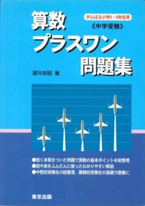 算数/プラスワン問題集—中学受験