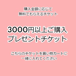 送料無料 プレゼントキャンペーン 3000円以上でプレゼントがもらえるチケット お買得　福袋対象商品2022
