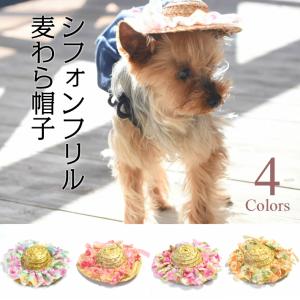 犬用 ヘア アクセサリーの通販 Au Pay マーケット