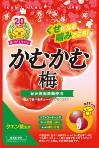 【送料無料】かむかむ かむかむ梅 30g×10個