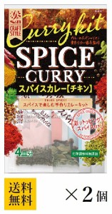 【送料無料】S&B CRAFT STYLE スパイスカレー 43.6g×2個