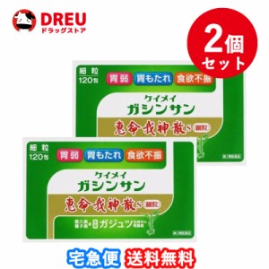 お得な2個セット！恵命我神散Ｓ細粒　120包第2類医薬品  恵命我神散S　恵命我神散　ケイメイガシンサン ケイメイガシンサン