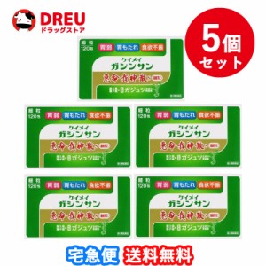 お得な5個セット！恵命我神散Ｓ細粒　120包第2類医薬品  恵命我神散S　恵命我神散　ケイメイガシンサン ケイメイガシンサン