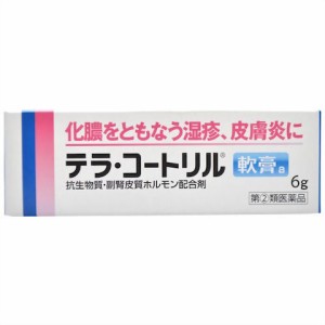 【第(2)類医薬品】テラ・コートリル軟膏６ｇ【メール便送料無料】