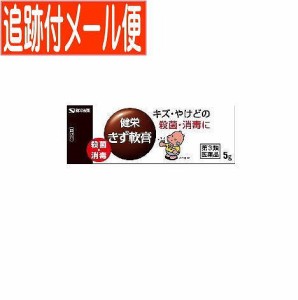 【第3類医薬品】健栄きず軟膏 5g【メール便送料無料】