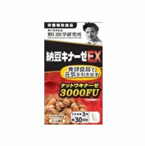 野口医学研究所 納豆キナーゼEX 90錠