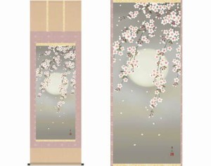 掛軸 「夜桜」 緒方葉水筆 [ 国産 日本製 保証付 十年間保証付き 季節掛 美しい ピンク リビング 春 国内産 和 和室 桜 43x111 花見 夜桜