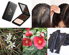 頭皮 ファンデーションの通販 Au Pay マーケット