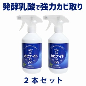 カビ取り剤 お風呂 カビ取り 浴室 450ml×2本 日本製 お風呂 カビ取り カビ除去スプレー 乳酸系 床 フローリング 畳 木材 塩素系薬剤、漂