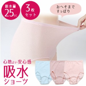 失禁パンツ 尿漏れパンツ 女性用 深履き 3枚組 25cc M/L/LL ピンク ブルー おなかすっぽり 伸縮 締め付けない 吸水ショーツ 軽失禁 尿漏