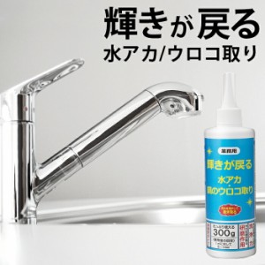 輝きが戻る 水アカ・鏡のウロコ取り 300g 日本製  水垢用洗剤 水アカクリーナー 水アカ落とし 水アカ取り 水垢洗剤