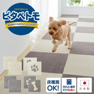 ピタペトモ 45×45cm 2枚セット ペット マット カーペット 滑らない 日本製